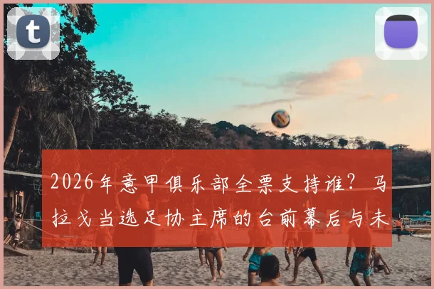 2026年意甲俱乐部全票支持谁？马拉戈当选足协主席的台前幕后与未来影响