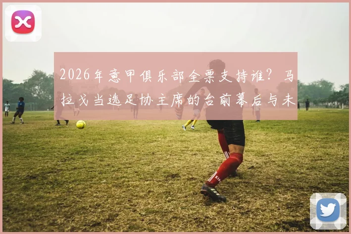 2026年意甲俱乐部全票支持谁？马拉戈当选足协主席的台前幕后与未来影响